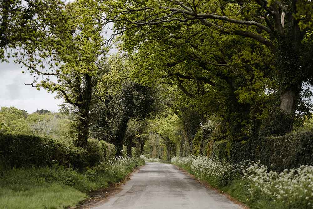 The Path I Keep Returning To