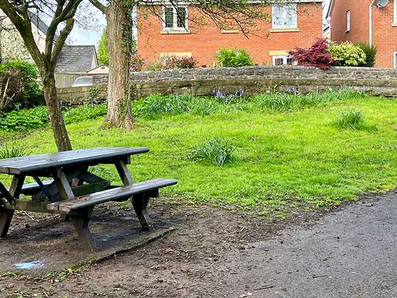 Bench at the end of the trail